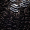KENDALL KINKY CURL CLIP INS 160 grams
